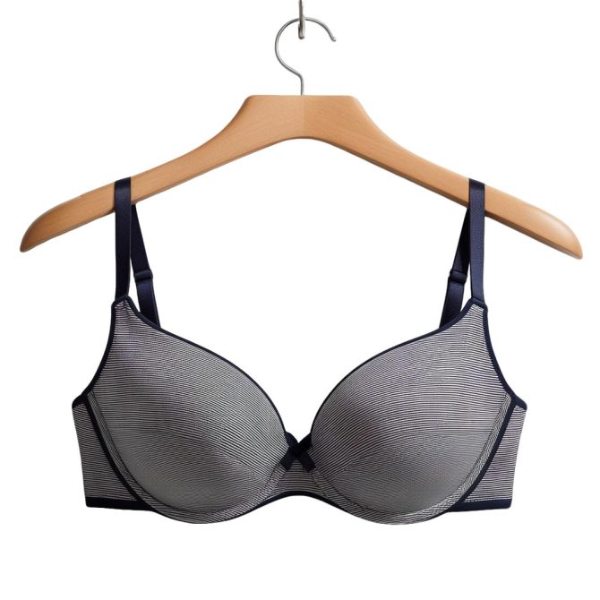 Striped Navy Blue Bra